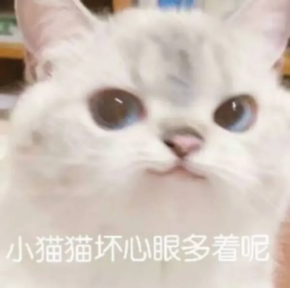 完成前图片